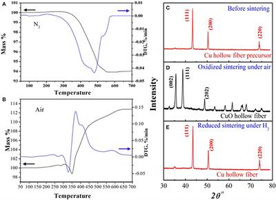 Dual-Function Conductive Copper Hollow Fibers for Microfiltration and Anti-biofouling in Electrochemical Membrane Bioreactors